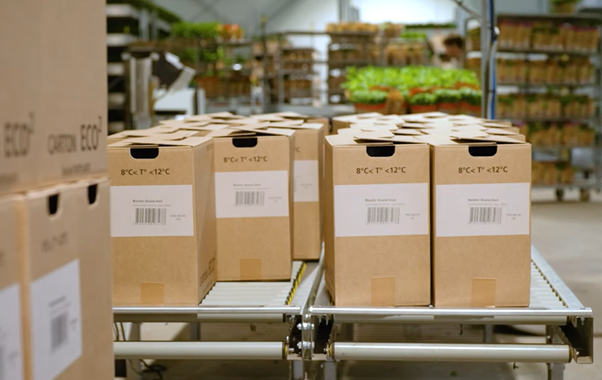 Zobacz, jak Markem-Imaje pomaga firmie Bioplants poprawić produktywność oraz wskaźniki KPI w zakresie ESG